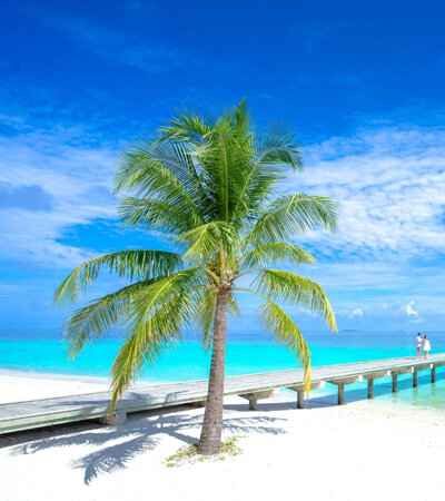 Evado in de Carribean